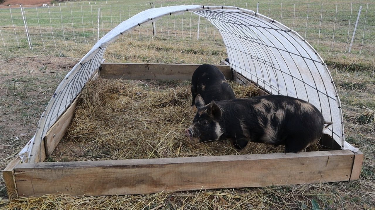 Diy moble pig shelter.jpg